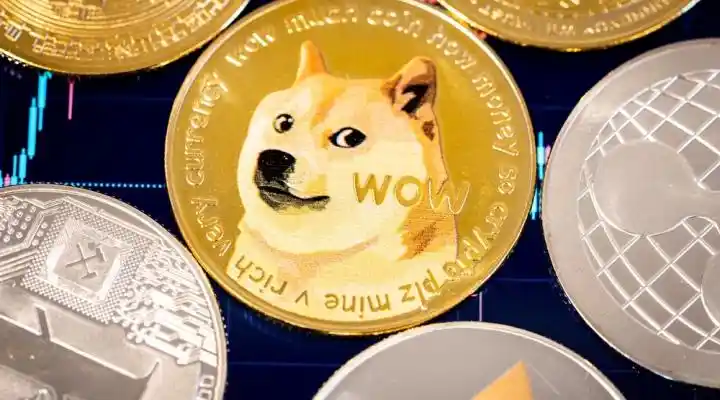 العملة المشفرة دوجيكوين تقفز بنحو 20%