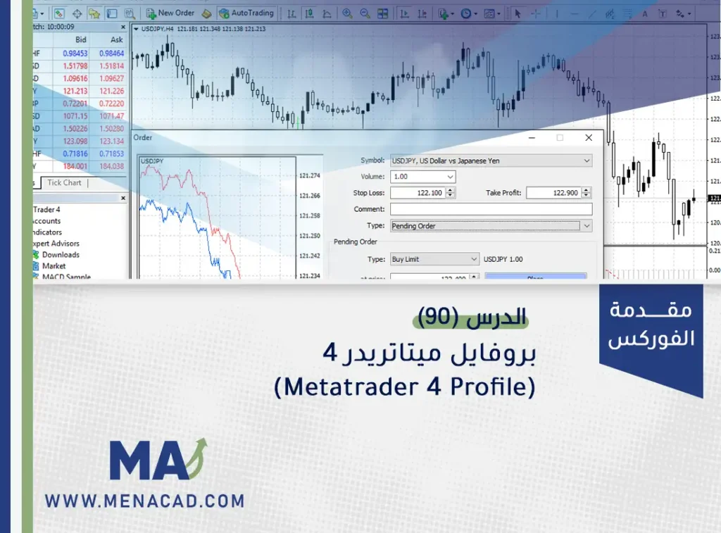 بروفايل ميتاتريدر 4 (Metatrader 4 Profile)