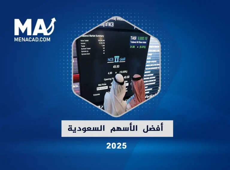 أفضل الأسهم السعودية 2025 .... نظرة عامة على السوق السعودي