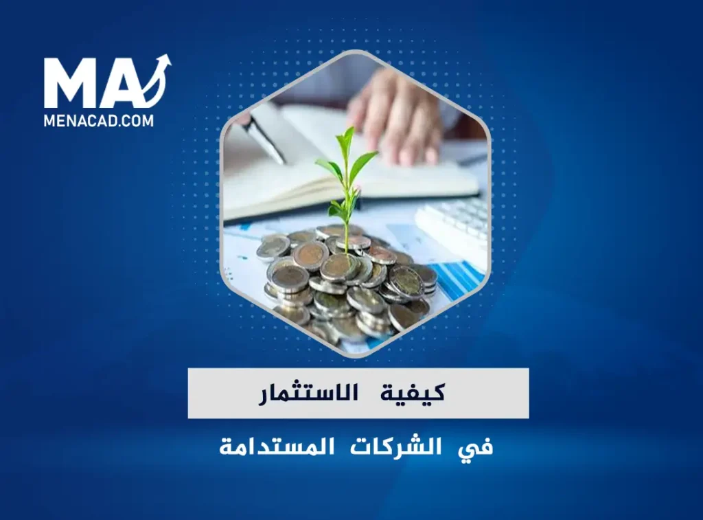 كيفية الاستثمار في الشركات المستدامة