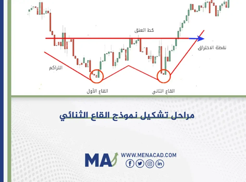 مراحل تشكيل نموذج القاع الثنائي