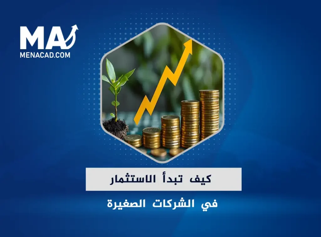 كيف تبدأ الاستثمار في الشركات الصغيرة